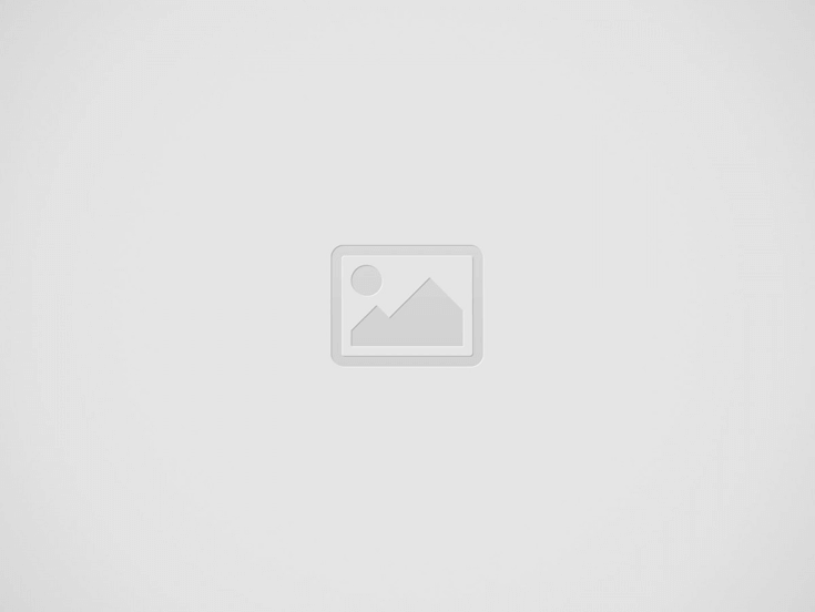 2025 실손보험 비교 | 주요 보험사 4세대 실손의료보험 완전 정리